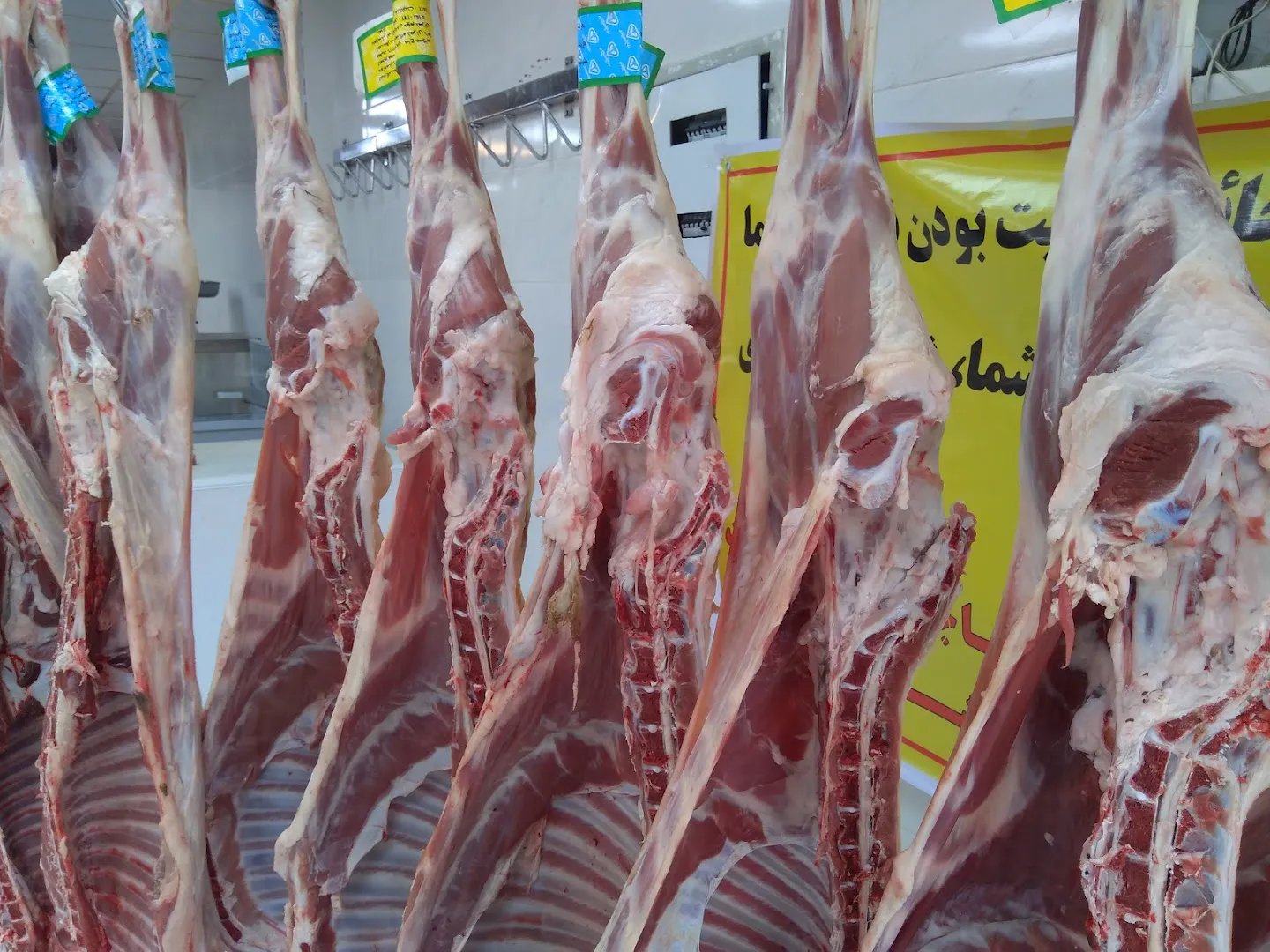 قصابی آقای گوشت کردستان(شعبه صادقیه) (شعبه اصلی) - تصویر 3