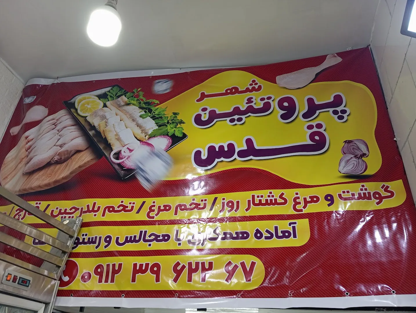 پروتئین مرغ قدس (شعبه اصلی) - تصویر 2