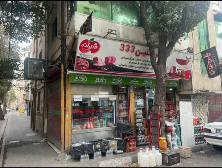 سوپر پروتئین. لوازم پیتزا .لبنیات. گوشت آوران۳۳۳ (شعبه اصلی) - تصویر 1