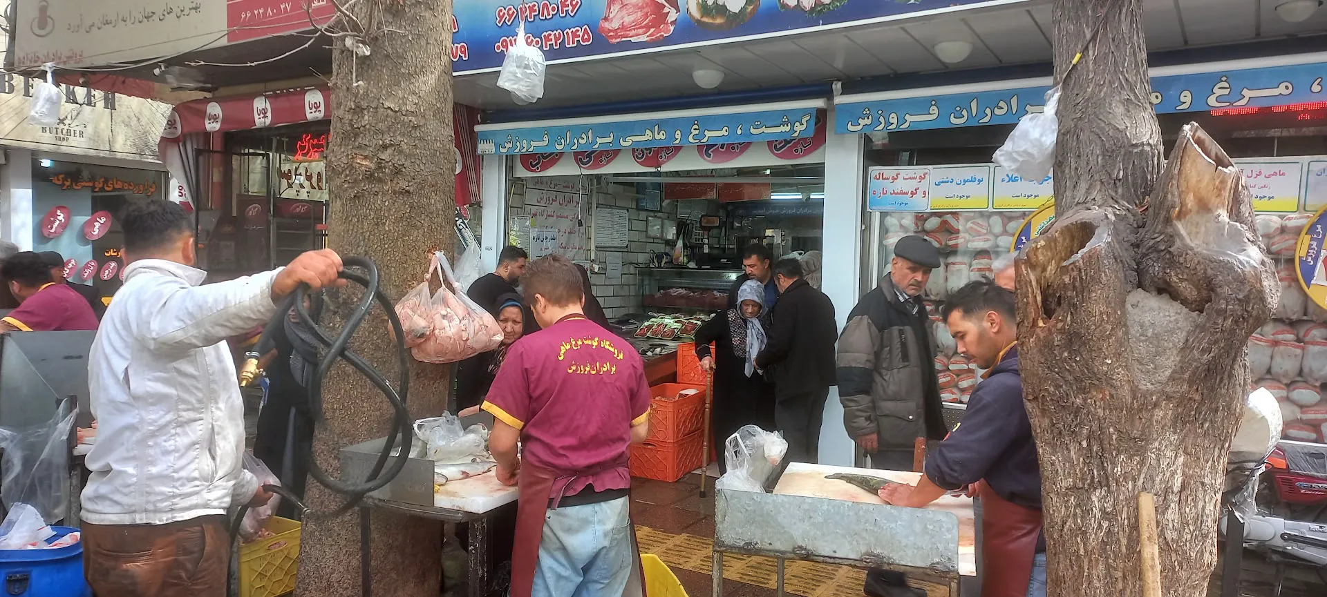 فروشگاه برادران فروزش (شعبه اصلی) - تصویر 2