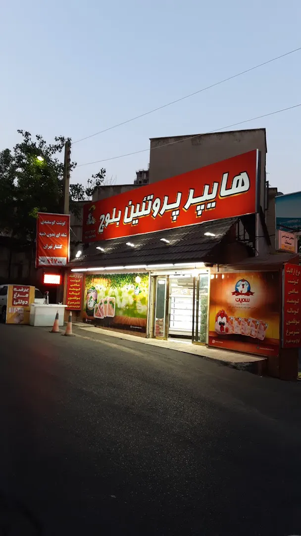 پروتئین بلوچ (شعبه اصلی) - تصویر 2