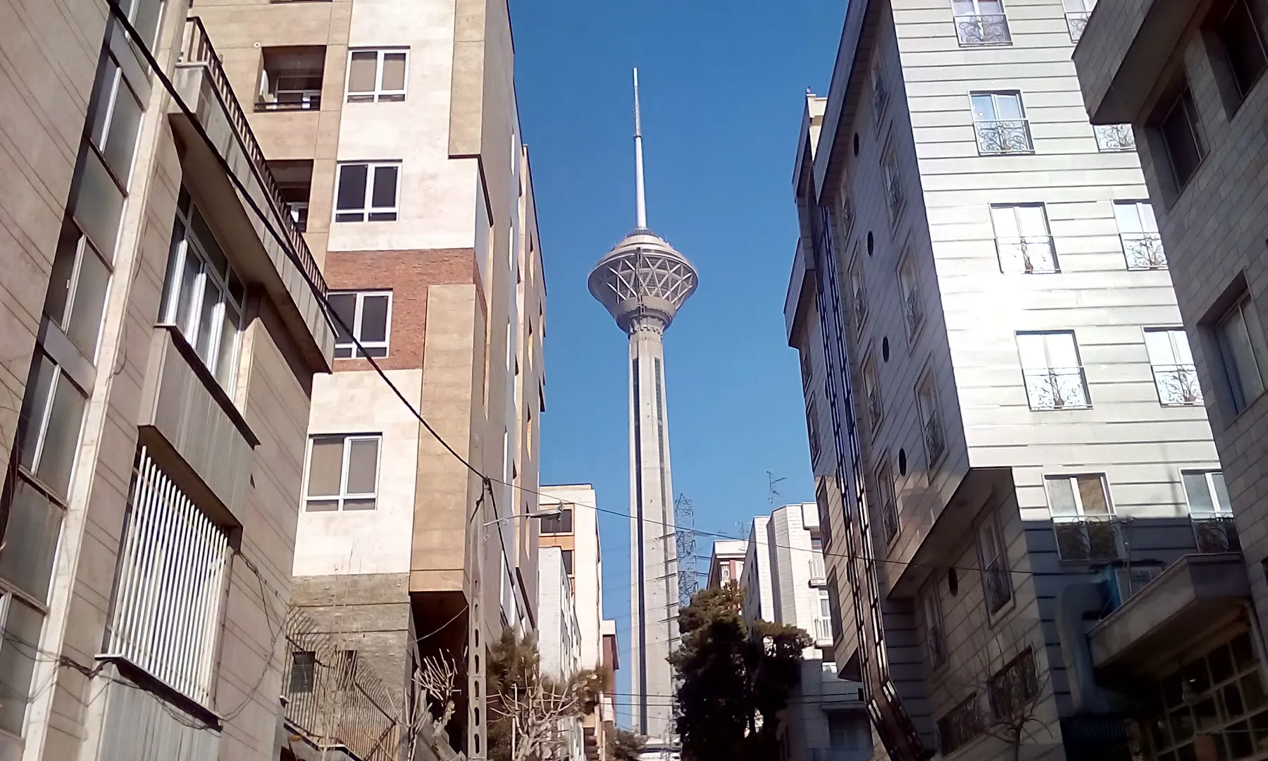 نانوایی بربری سنتی (شعبه اصلی) - تصویر 4