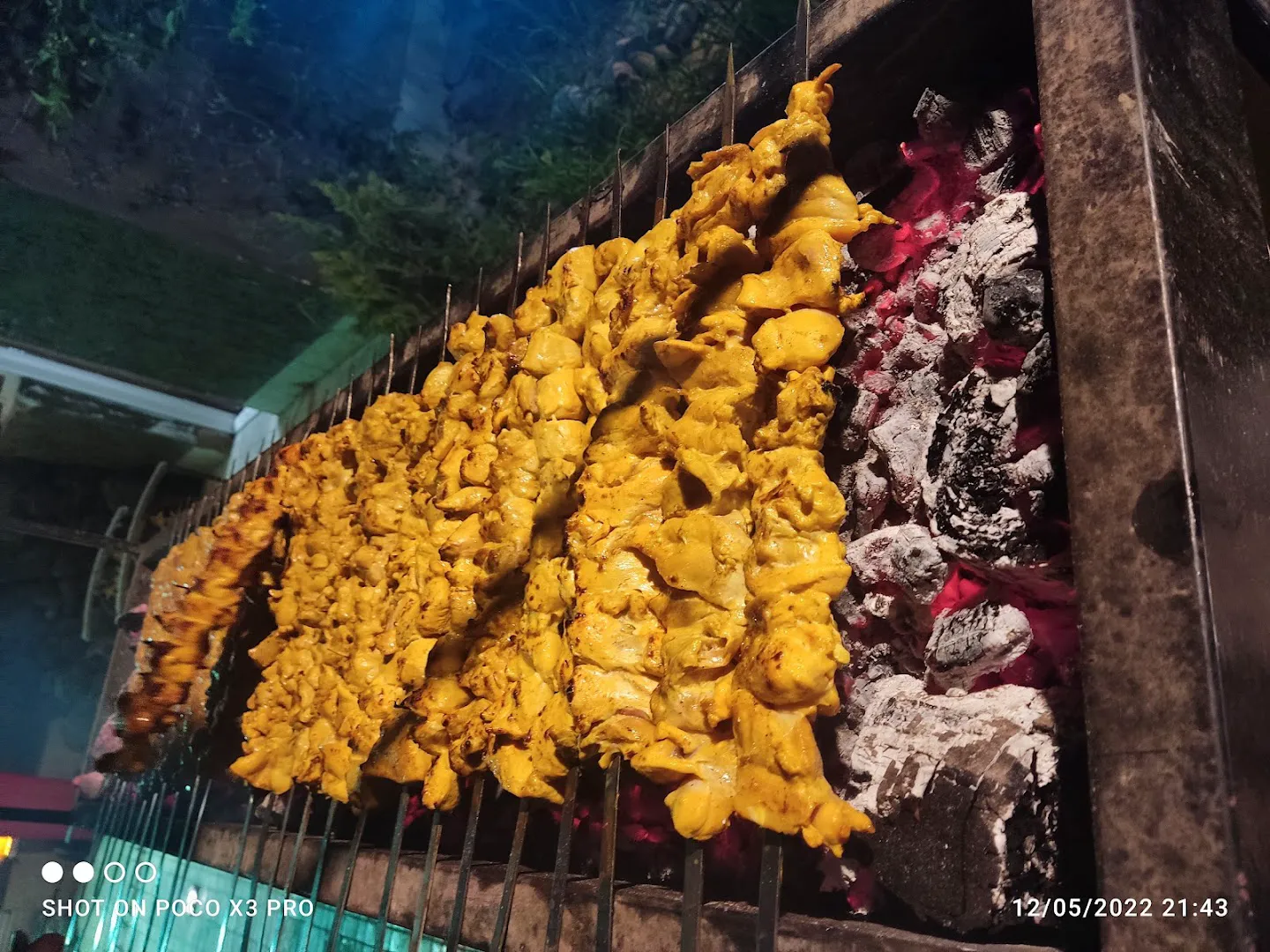 باغ رستوران کندو (شعبه اصلی) - تصویر 3