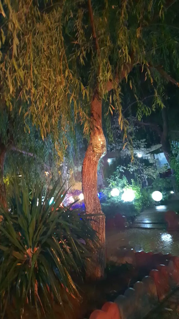 کافه رستوران سرچشمه (شعبه اصلی) - تصویر 4