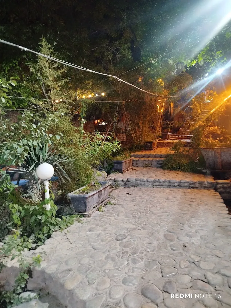 باغ رستوران نگین (شعبه اصلی) - تصویر 3