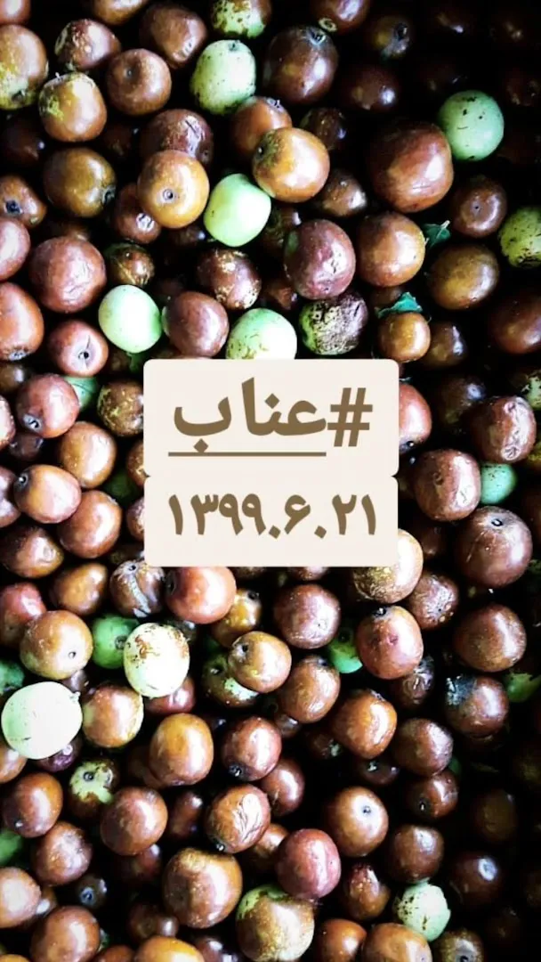 بارفروشی طهمورثی (شعبه اصلی) - تصویر 2