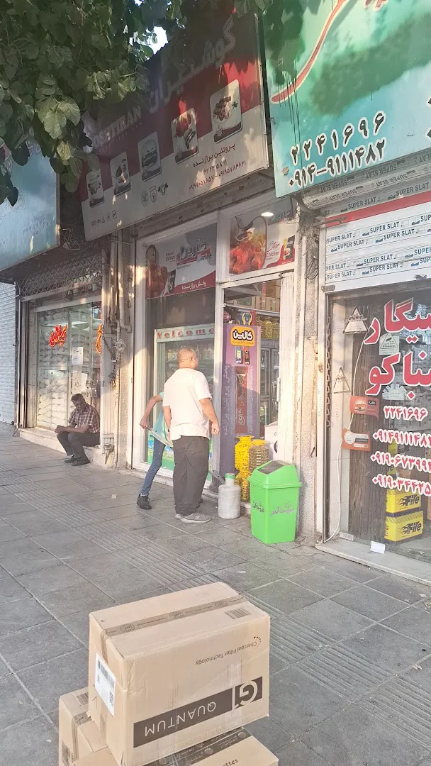 پروتئین برازنده (شعبه اصلی) - تصویر 2