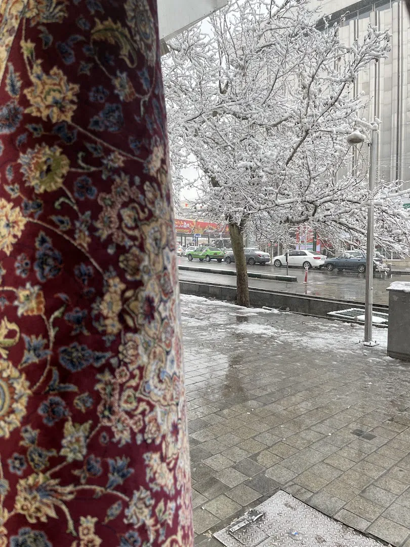 قالیچین |هایپرمارکت مجازی فرش ماشینی و دستباف | Rug & Carpet (شعبه اصلی) - تصویر 4