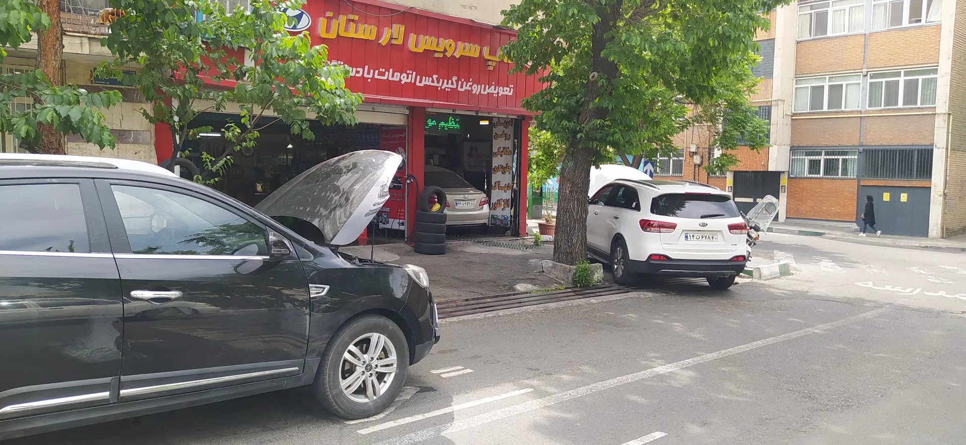 فرش دستباف گره (شعبه اصلی) - تصویر 3