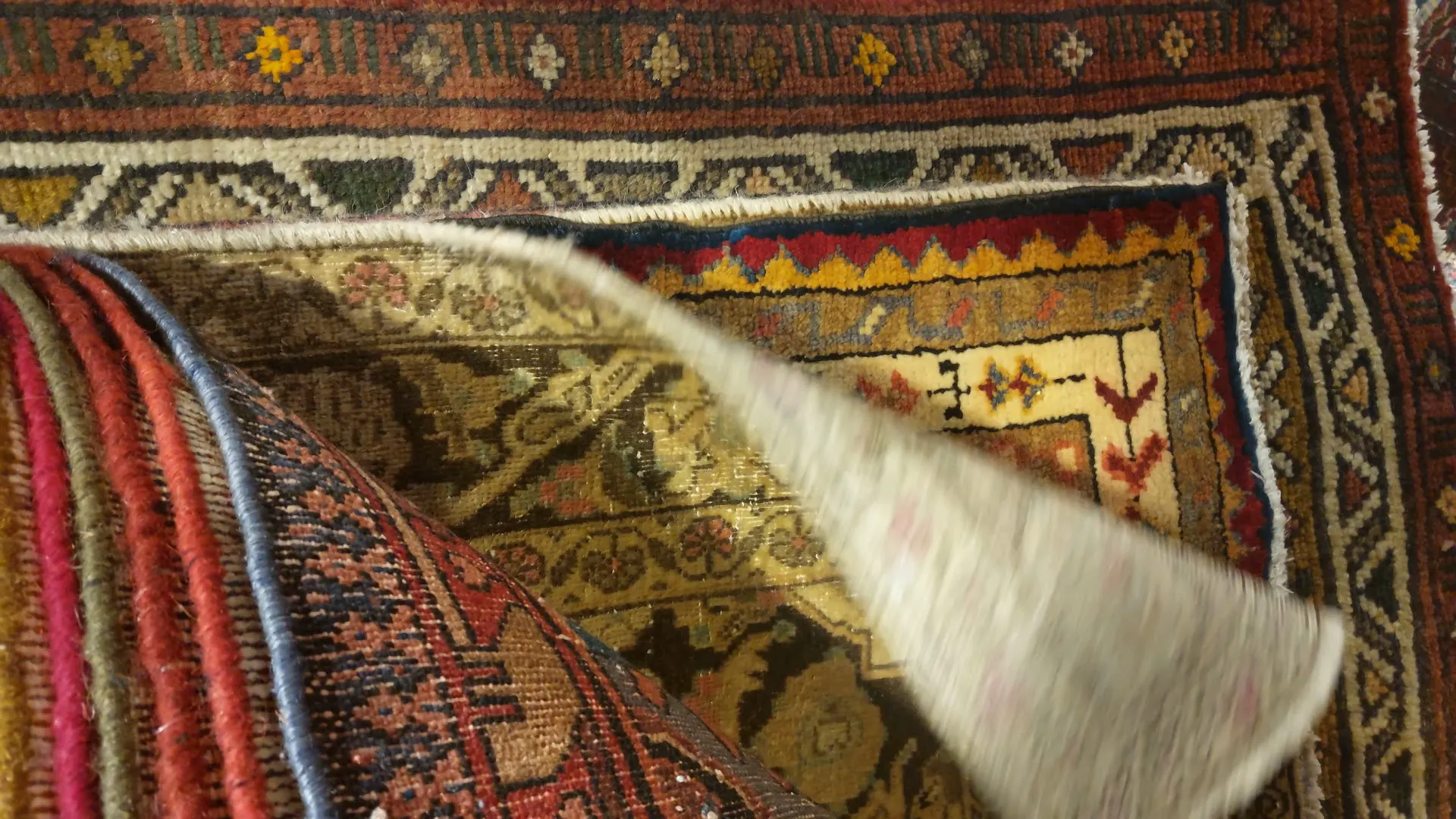 فرش دل Carpet.del.rug (شعبه اصلی) - تصویر 2