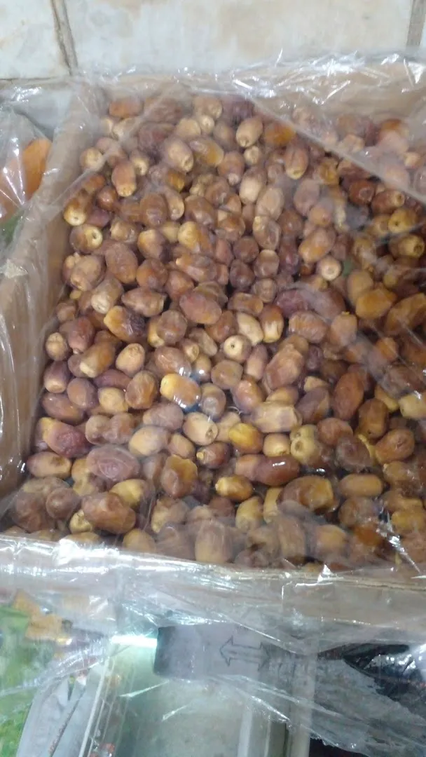 پرده سرای مدال (شعبه اصلی) - تصویر 4