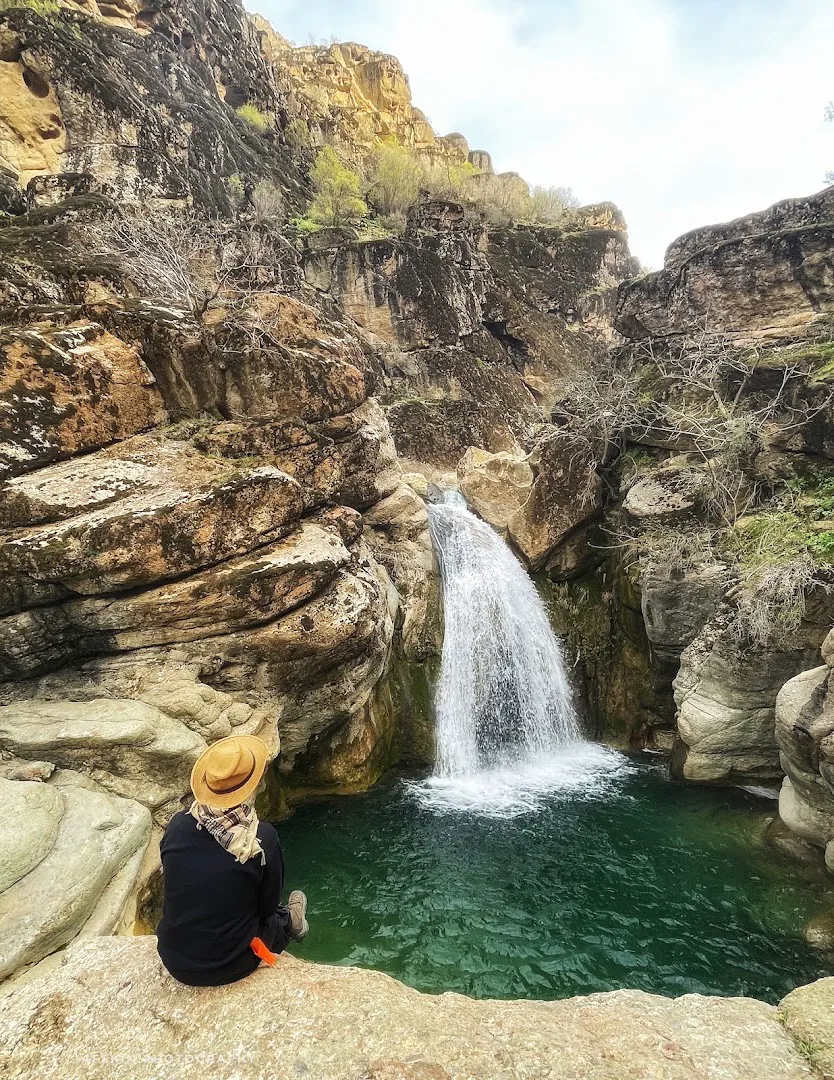 پرده ژیکال (شعبه اصلی) - تصویر 2