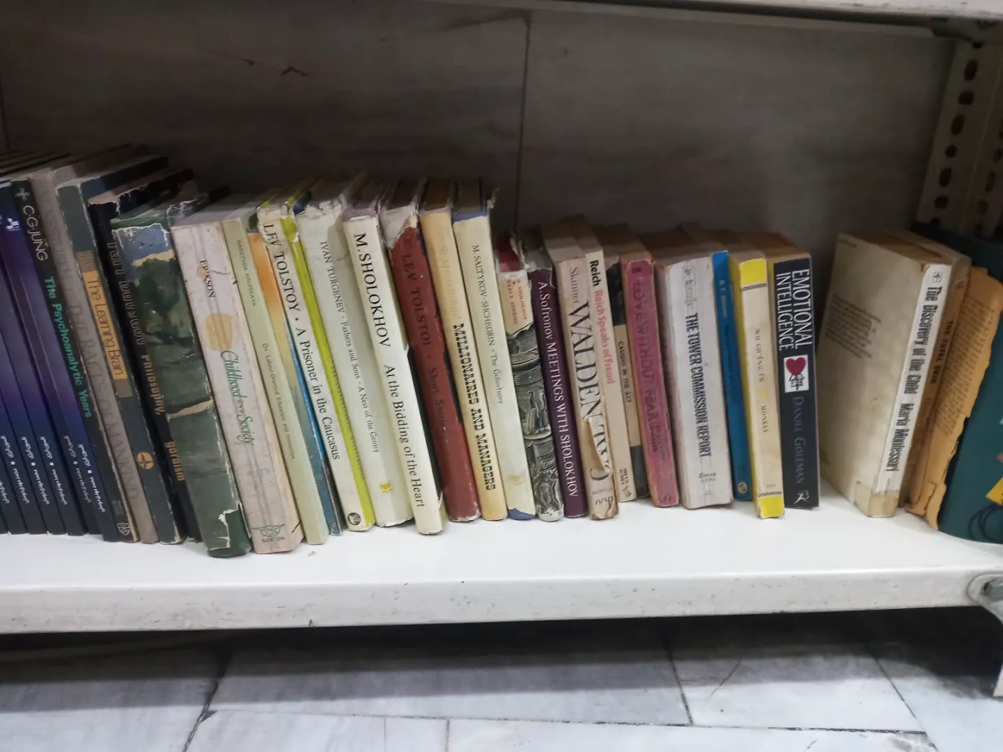 کتاب فروشی مژدک (شعبه اصلی) - تصویر 3