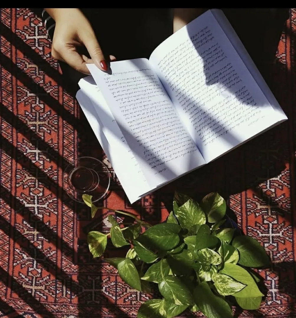 کتاب دارینوش (شعبه اصلی) - تصویر 4