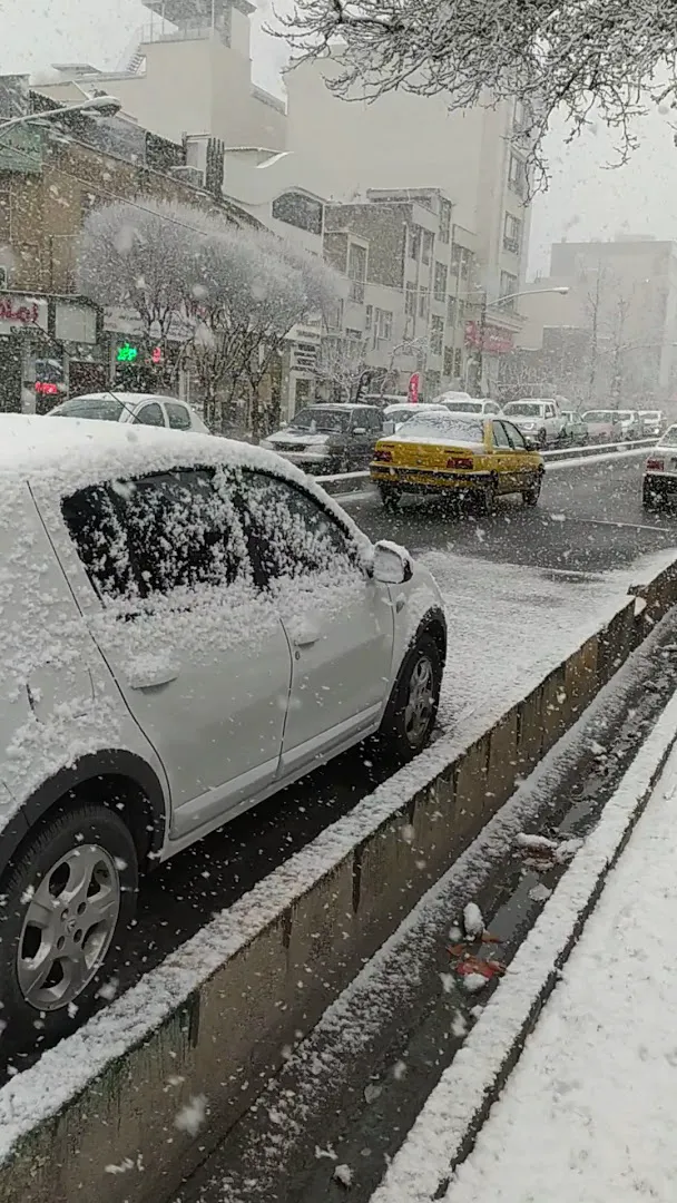 فروشگاه نوشت افزار مداد سیاه (شعبه اصلی) - تصویر 2