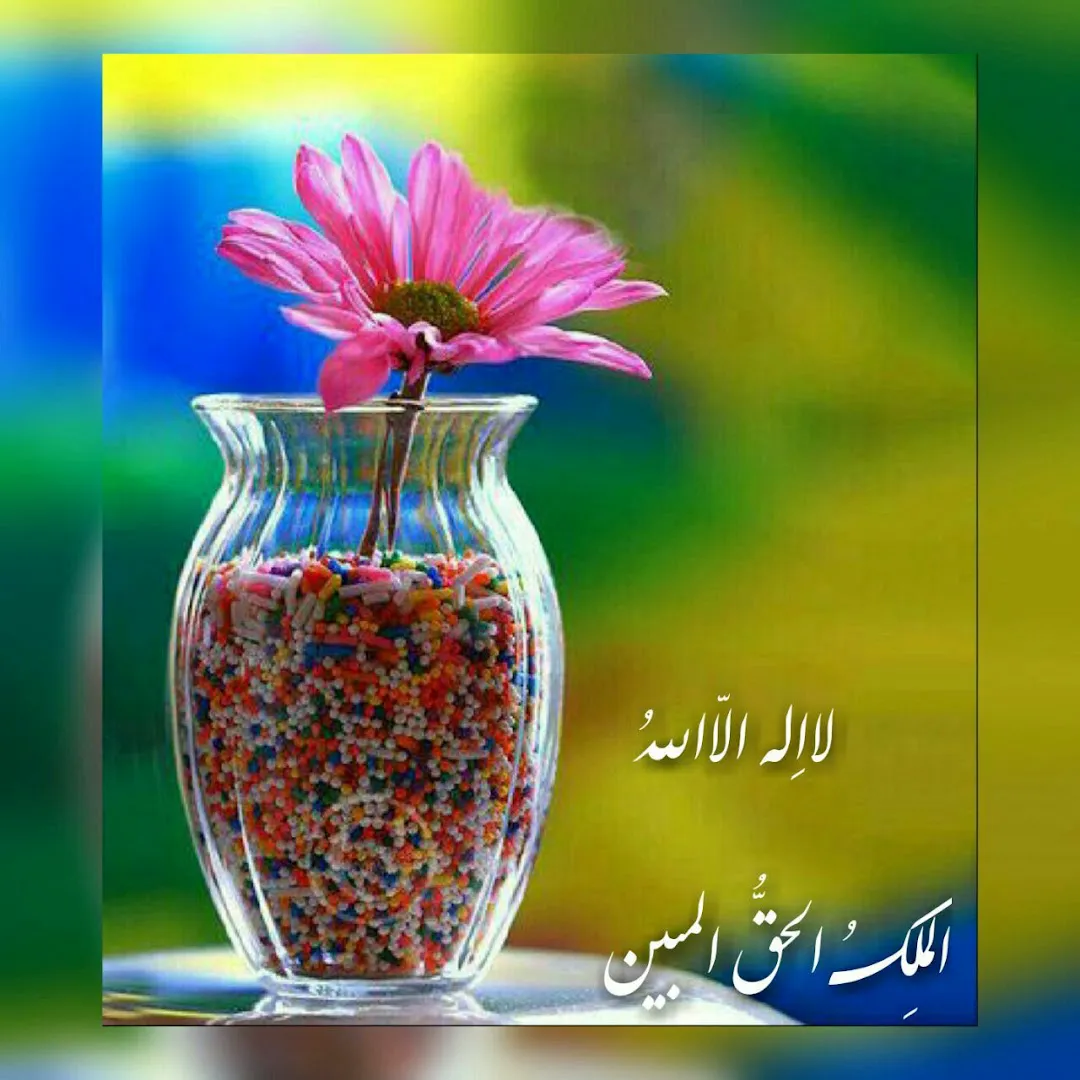 پارس بایک (شعبه اصلی) - تصویر 3