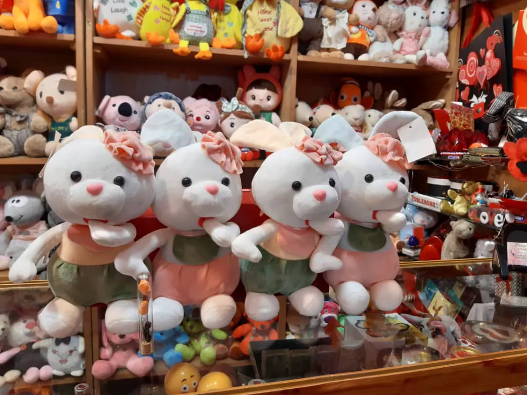 فروشگاه عروسک و اسباب بازی Toy store13 (شعبه اصلی) - تصویر 3