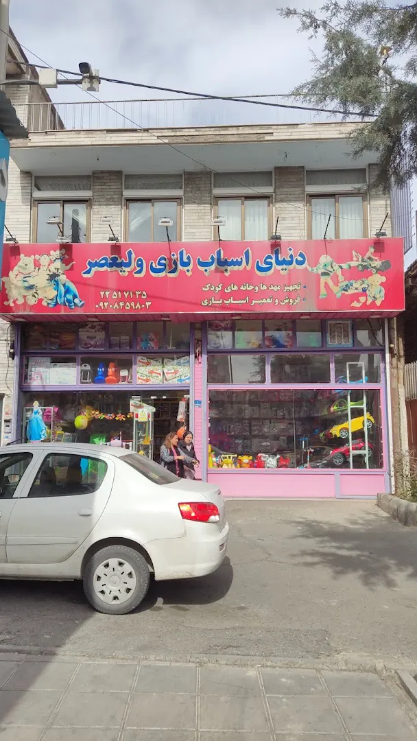 دنیای اسباب بازی ولیعصر (شعبه اصلی) - تصویر 4