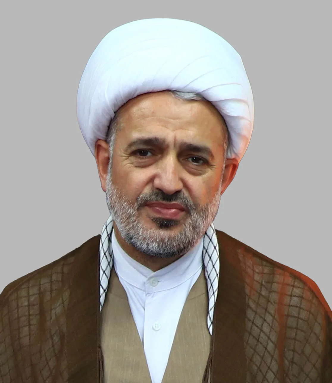 محمد میرزامحمدی